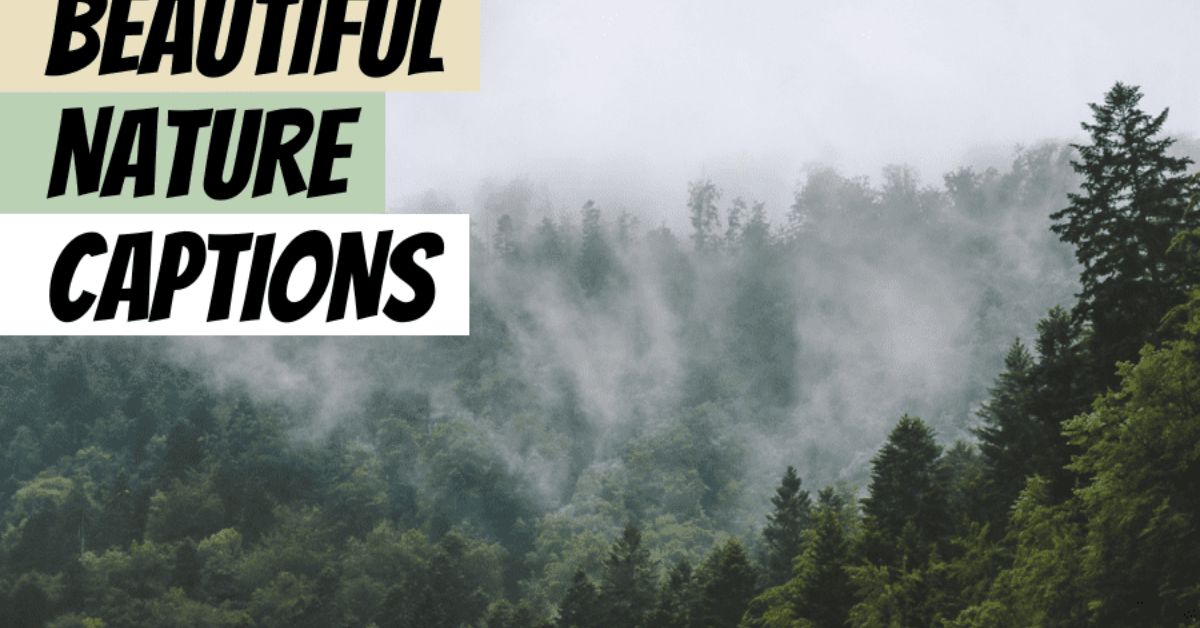 Nature Captions